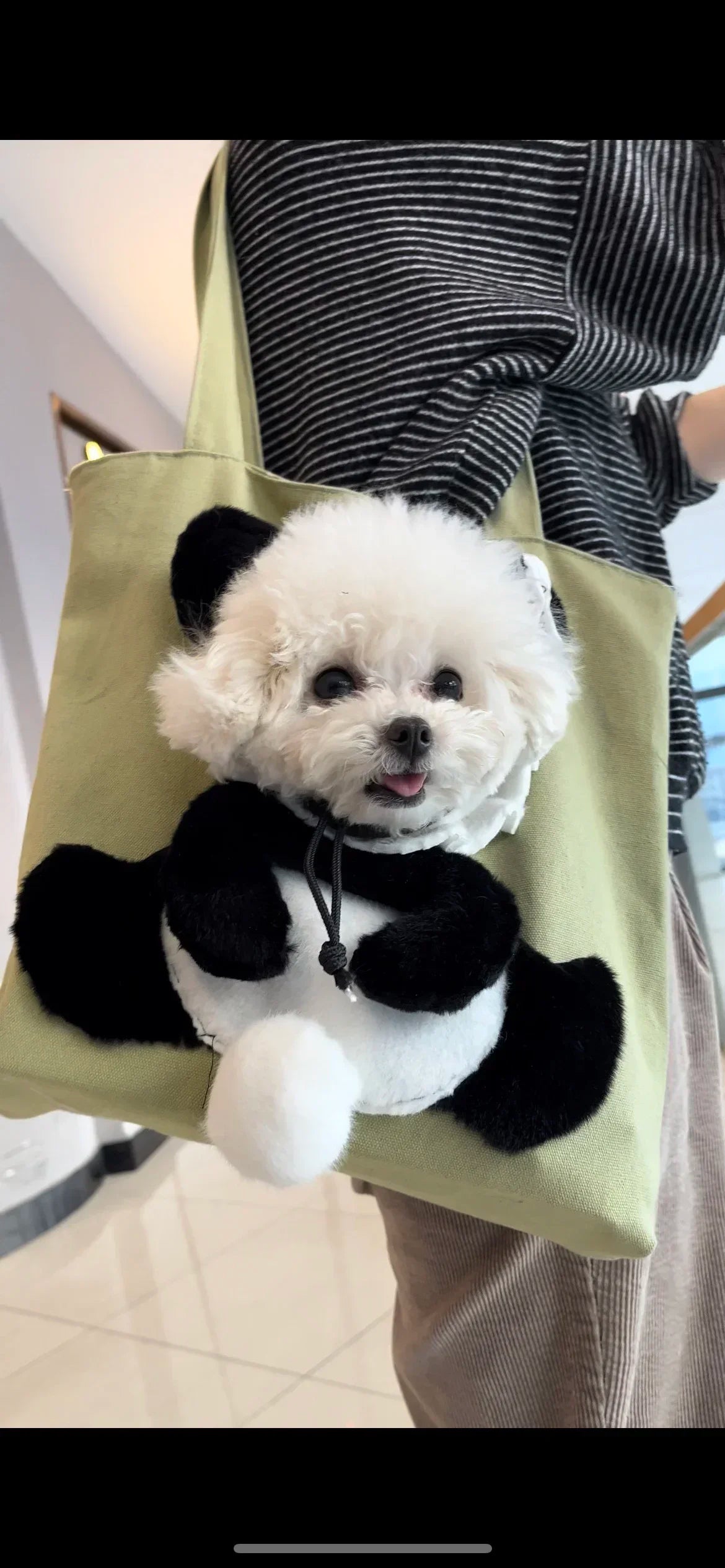 Kawaii Pet Carrier Bag πΎβ¨ - Adorable Canvas Travel Sling for Cats & Dogs with Cozy Cushion πΆπ