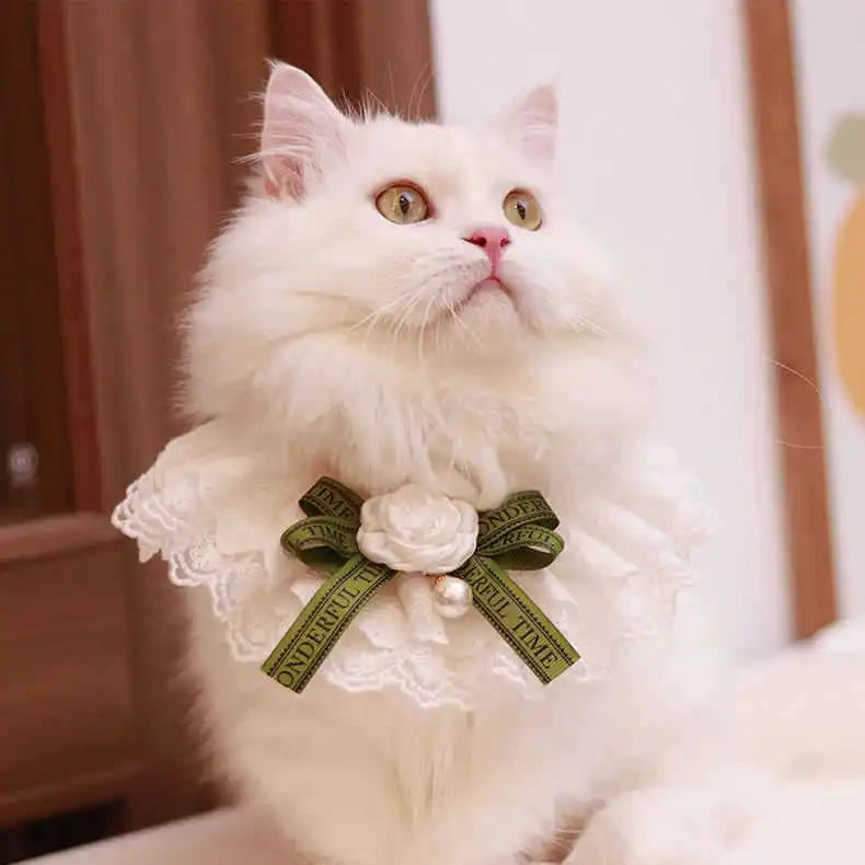β¨ Elegant Pearl & Lace Pet Bib π Chic Ribbon Scarf for Pawsome Parties πΎπ