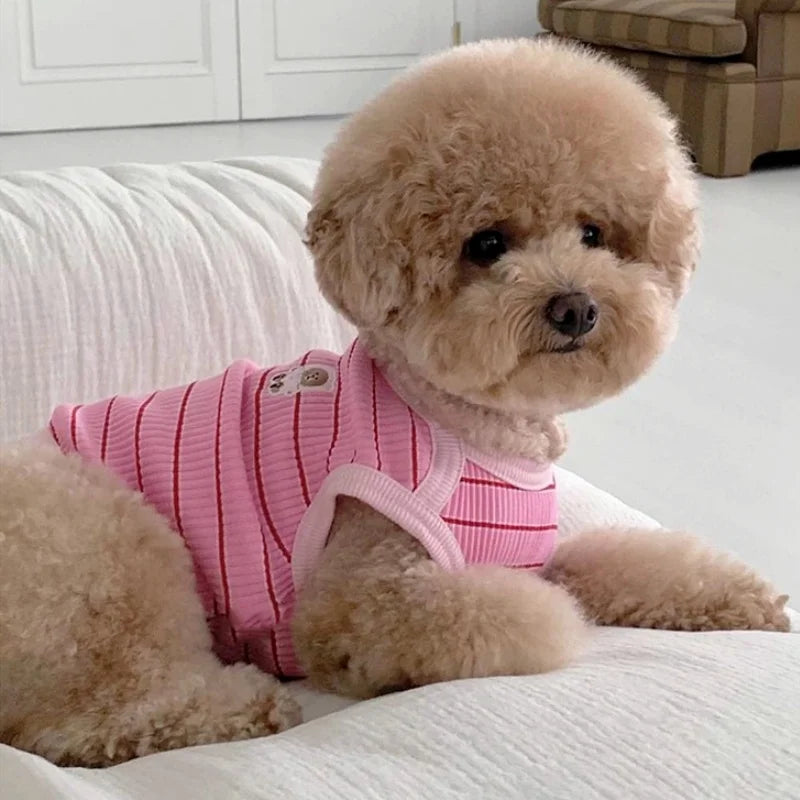 Adorable Striped Pet Vest πΈπΎ Cozy Summer Shirt for Pups & Kitties! πΆπ±