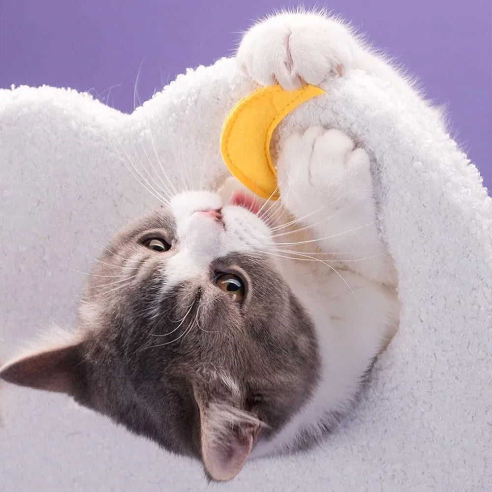 π Dreamy Cat Wonderland Tower πΎ with Cozy Hammocks & Fun Scratching Posts! π±β¨