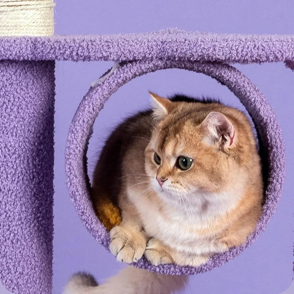 π Dreamy Cat Wonderland Tower πΎ with Cozy Hammocks & Fun Scratching Posts! π±β¨