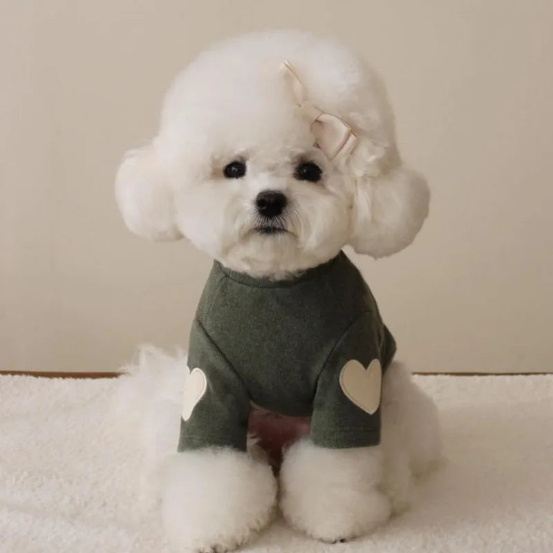 πΎ Cozy Cutie Doggie Pullover β¨ Sweet Solid Color Winter Wear for Pups! π