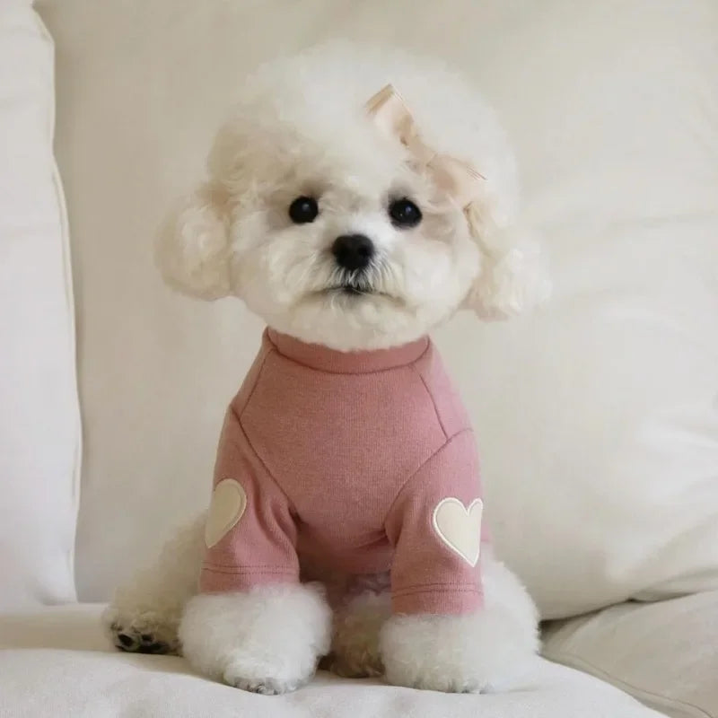 Snuggly Love Bear Hoodie π»β¨ for Pups & Kitties - Cozy Winter Fashion! πΎβ€οΈ