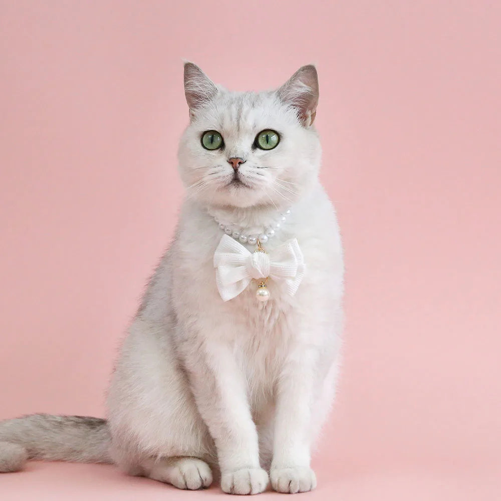 β¨ Sparkling Pet Pearl Collar with Adorable Bowtie π - Bling Jewelry for Your Furry Friends! πΎ