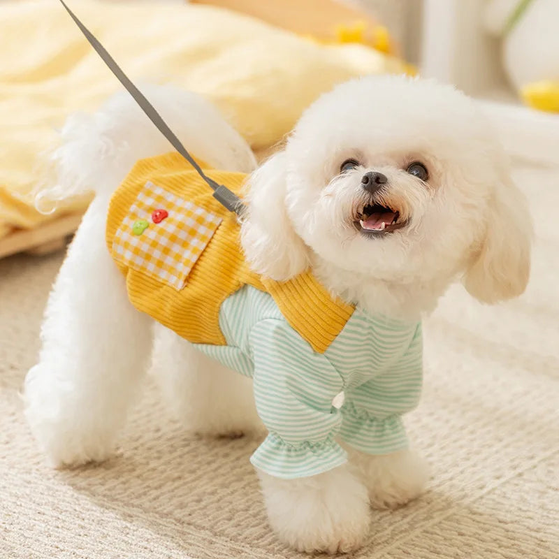 Plaid Paws Suspenders for Cozy Cats & Dogs πΎπβ¨