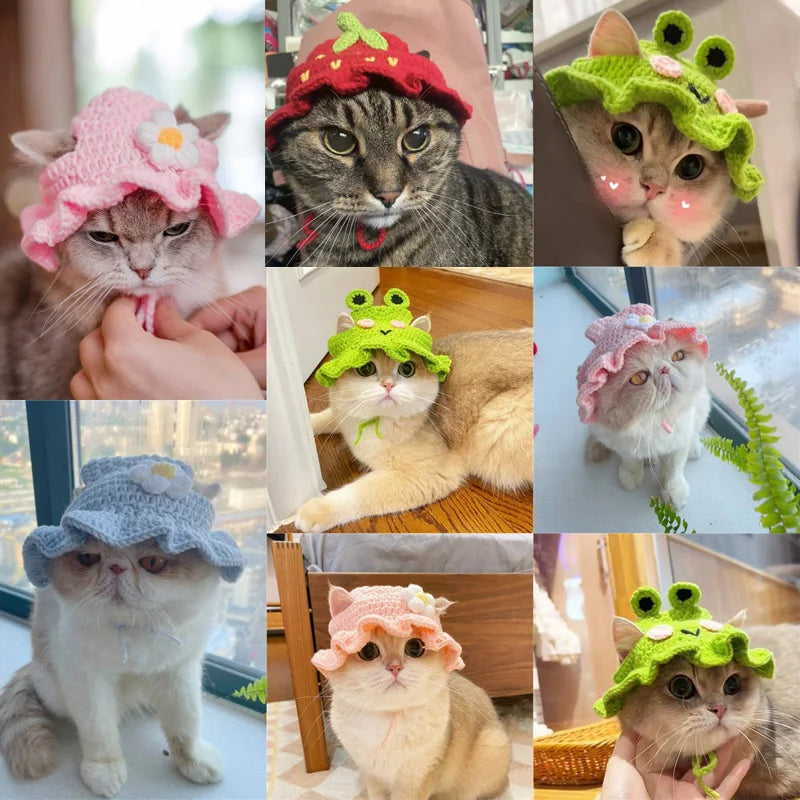 Kawaii Autumn/Winter Cat Hat πβ¨ Cute Knitted Accessory for Puppies & Kittens πΎπΈ Perfect for Parties & Photoshoots!