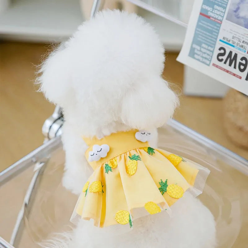 โจ Adorable Summer Pup Dress ๐ธ for Stylish Small Dogs! ๐พโจ
