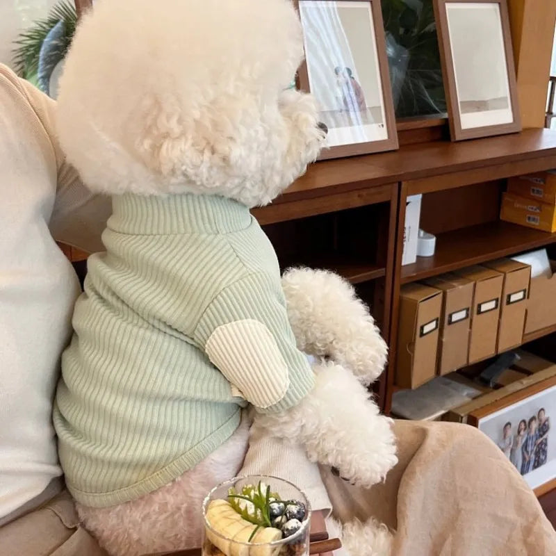 πΎ Cozy Cutie Doggie Pullover β¨ Sweet Solid Color Winter Wear for Pups! π