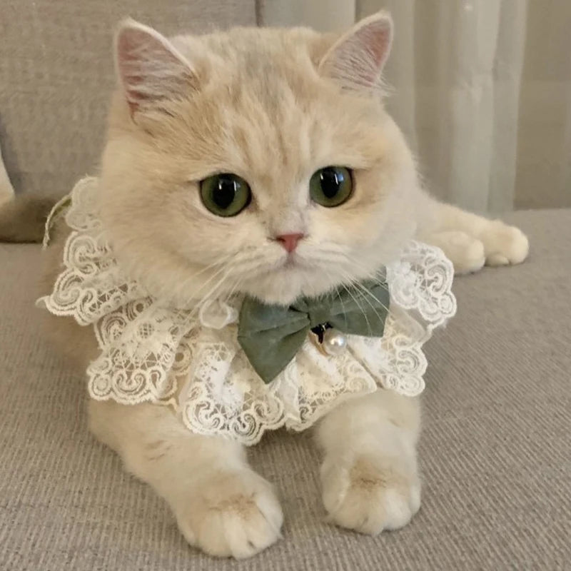 β¨ Elegant Pearl & Lace Pet Bib π Chic Ribbon Scarf for Pawsome Parties πΎπ