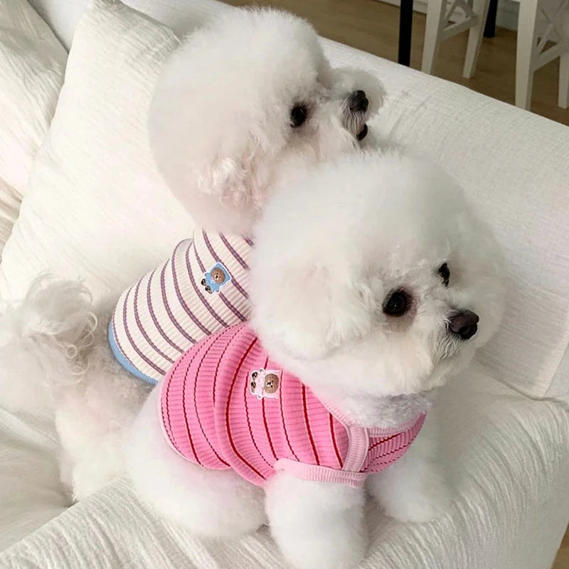 Adorable Striped Pet Vest πΈπΎ Cozy Summer Shirt for Pups & Kitties! πΆπ±