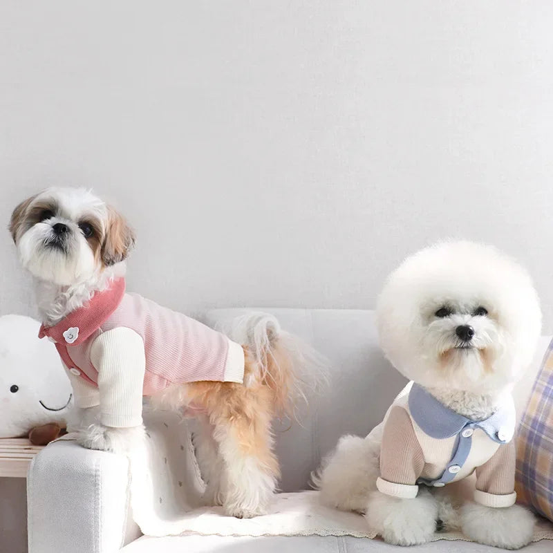 π Adorable Cloudy Fashion Pet Shirt for Stylish Pups & Purr-fect Cats! πΎβ¨
