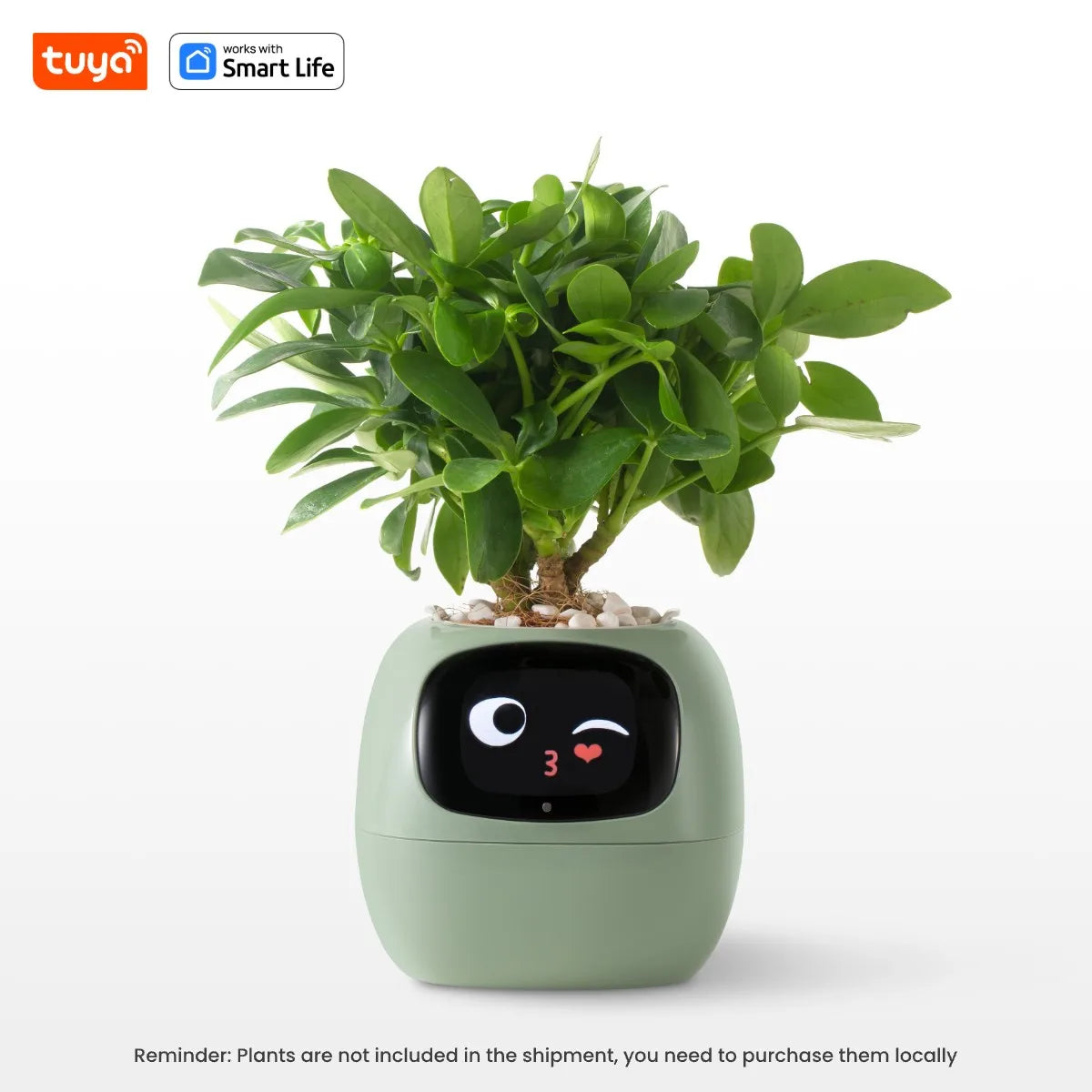 Kawaii Tuya Ivy Smart Planter π±β¨ - 49 Adorable Expressions & 7 Smart Sensors for Effortless Plant Care! πΌπ