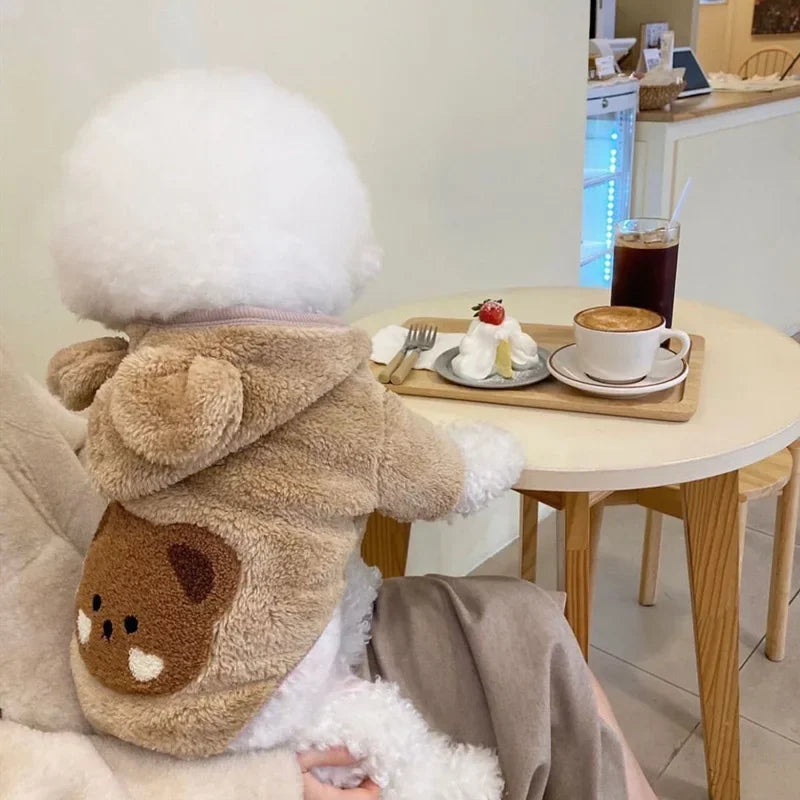 πΎ Cozy Cuddles: Adorable Autumn/Winter Sweater for Small Dogs & Kittens πΆβ¨