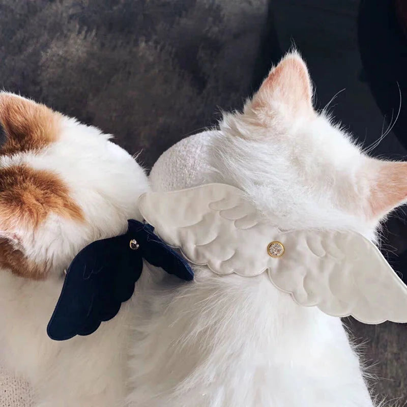Cute Necklace Small Dog Cat Little Angel Wing Collar Personalized  Necklace Traction For Small Puppy Kitten Pet Products