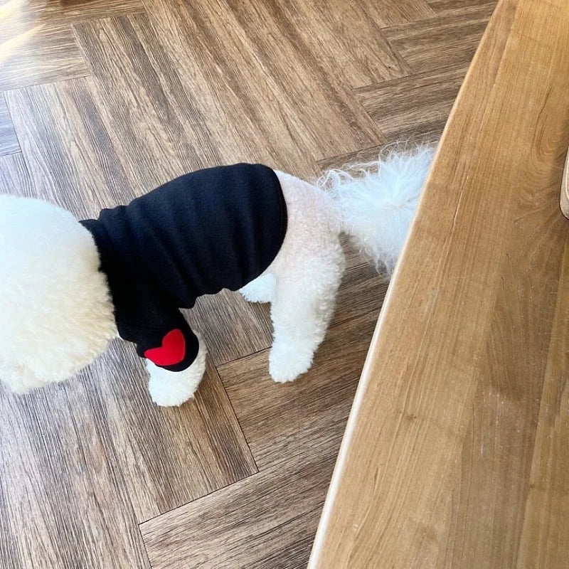 🐾 Cozy Cutie Doggie Pullover ✨ Sweet Solid Color Winter Wear for Pups! 🌈