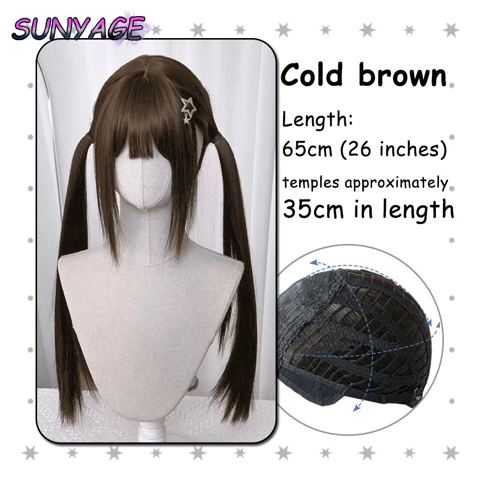 Kawaii Ombre Princess Double Ponytail Wig 💖✨