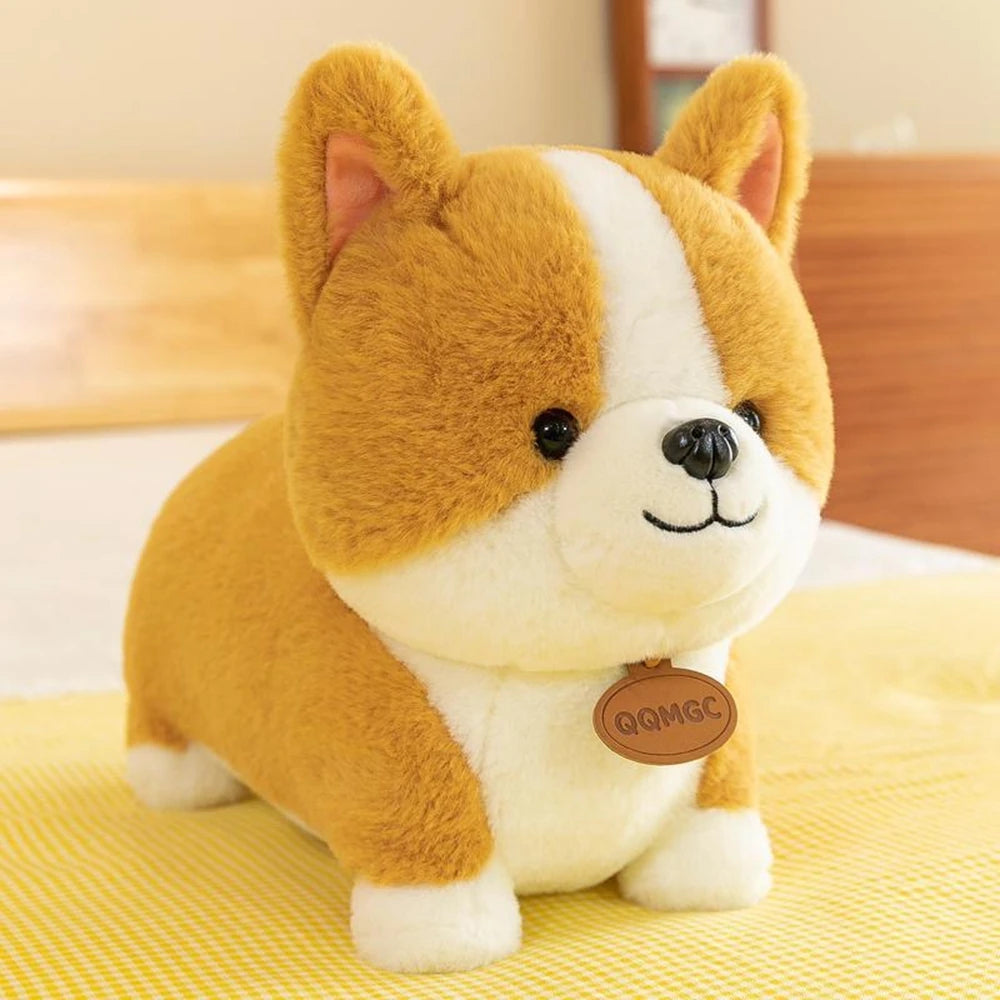 Corgi Cuddle Buddy 35cm 🐶💕 - Plushie & Pillow Combo for Playtime Fun! Perfect Gift for Any Occasion 🎈