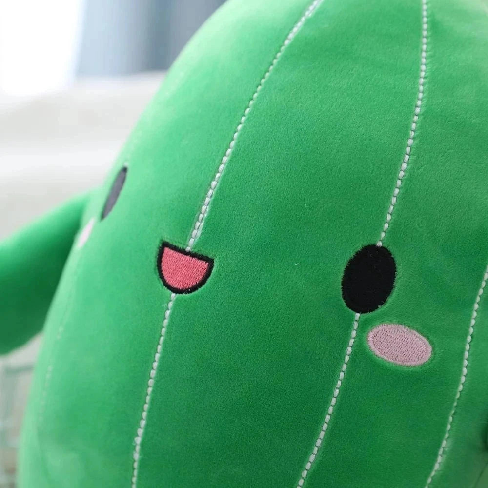 Fluffy Rose Plant Plush Cactus Toy Pillow Cushion For Kids Room 🪴🌸🧸