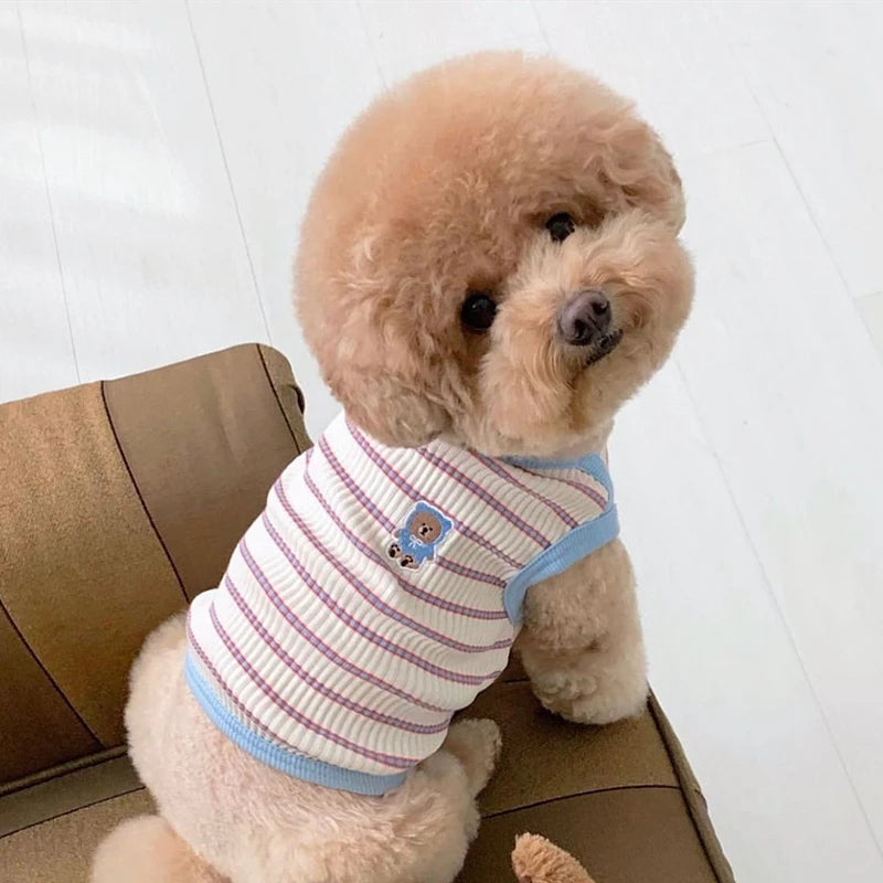 Adorable Striped Pet Vest 🌸🐾 Cozy Summer Shirt for Pups & Kitties! 🐶🐱