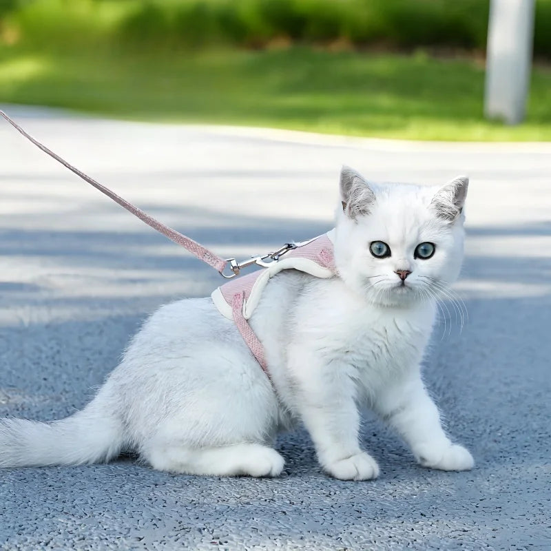 ✨ Adorable Adjustable Pet Harness & Lead Set 🐾💕 Perfect for Outdoor Adventures with Your Furry Friend! 🌈🐶🐱