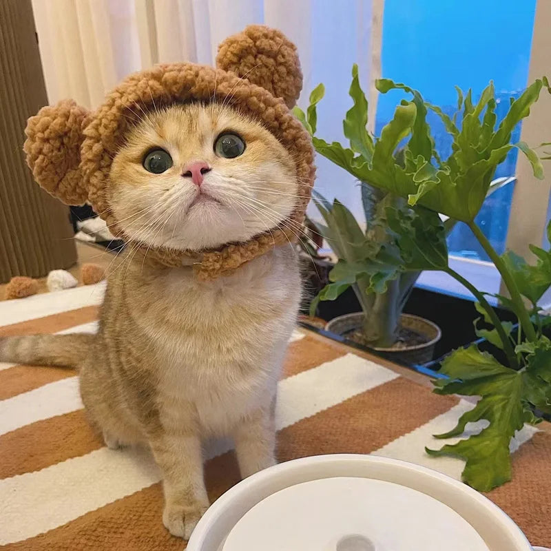 Adorable Feline Fantasy 🐾💖 Bear Plush Pet Hat for Purrfect Cosplay Fun!