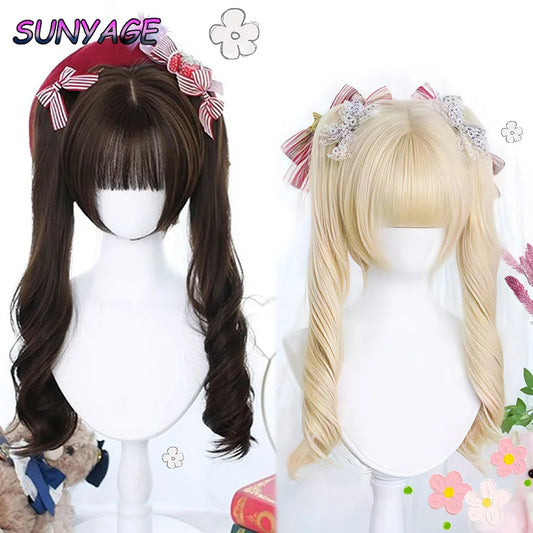 Kawaii Ombre Princess Double Ponytail Wig 💖✨