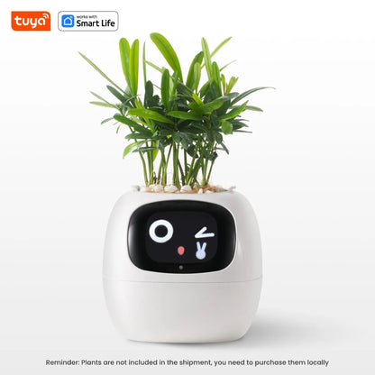 Kawaii Tuya Ivy Smart Planter 🌱✨ - 49 Adorable Expressions & 7 Smart Sensors for Effortless Plant Care! 🌼💖