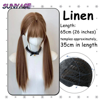 Kawaii Ombre Princess Double Ponytail Wig 💖✨