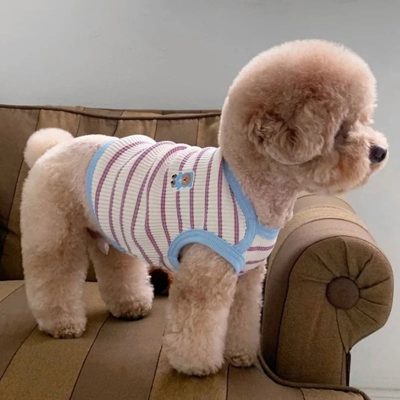 Adorable Striped Pet Vest 🌸🐾 Cozy Summer Shirt for Pups & Kitties! 🐶🐱