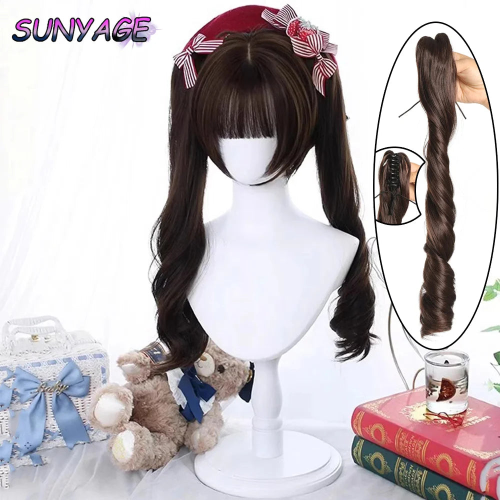 Kawaii Ombre Princess Double Ponytail Wig 💖✨