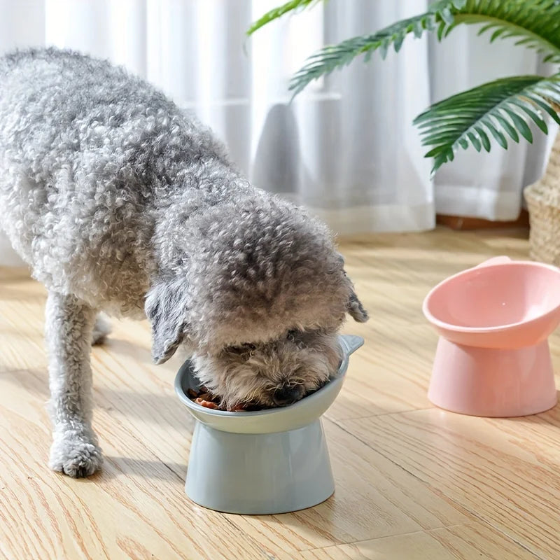 Kawaii Cat Food Bowl 🐾💕 | Anti-Vomiting & Spine-Friendly for Flat-Faced Fur Babies 🐱🥣 | Dishwasher Safe Delight!