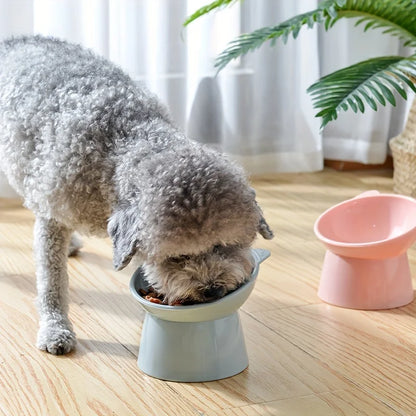 Kawaii Cat Food Bowl 🐾💕 | Anti-Vomiting & Spine-Friendly for Flat-Faced Fur Babies 🐱🥣 | Dishwasher Safe Delight!