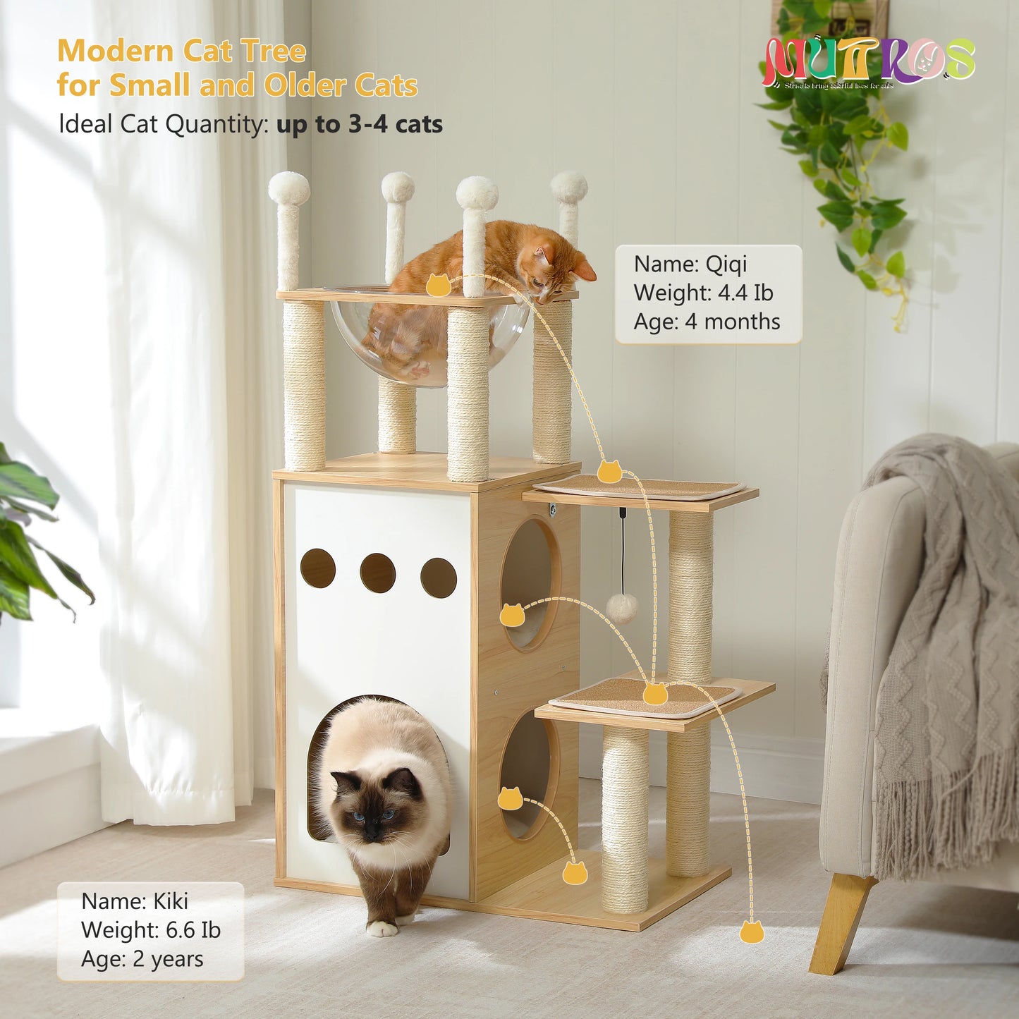 Four Level Wooden Cat Tree With Nest Condo And Dangling Toys 🐾🐱
