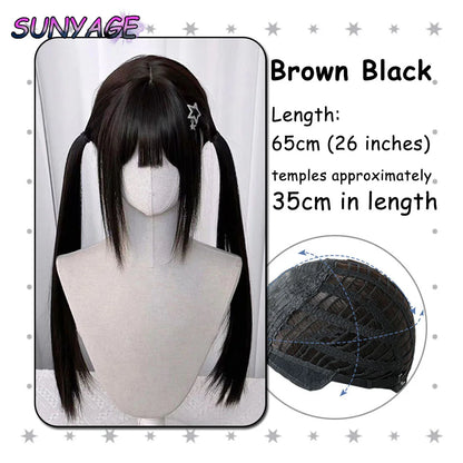 Kawaii Ombre Princess Double Ponytail Wig 💖✨