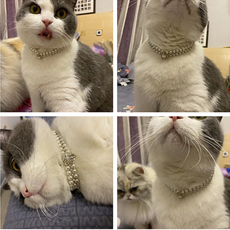 💖 Sparkling Pearl & Rhinestone Collar for Purr-fect Pets 🐾✨
