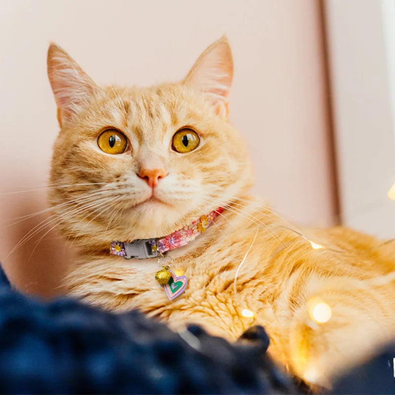 🌟🐾 Charming Colorful Bell Collars for Adorable Felines & Pupsters! 🌈🐕✨