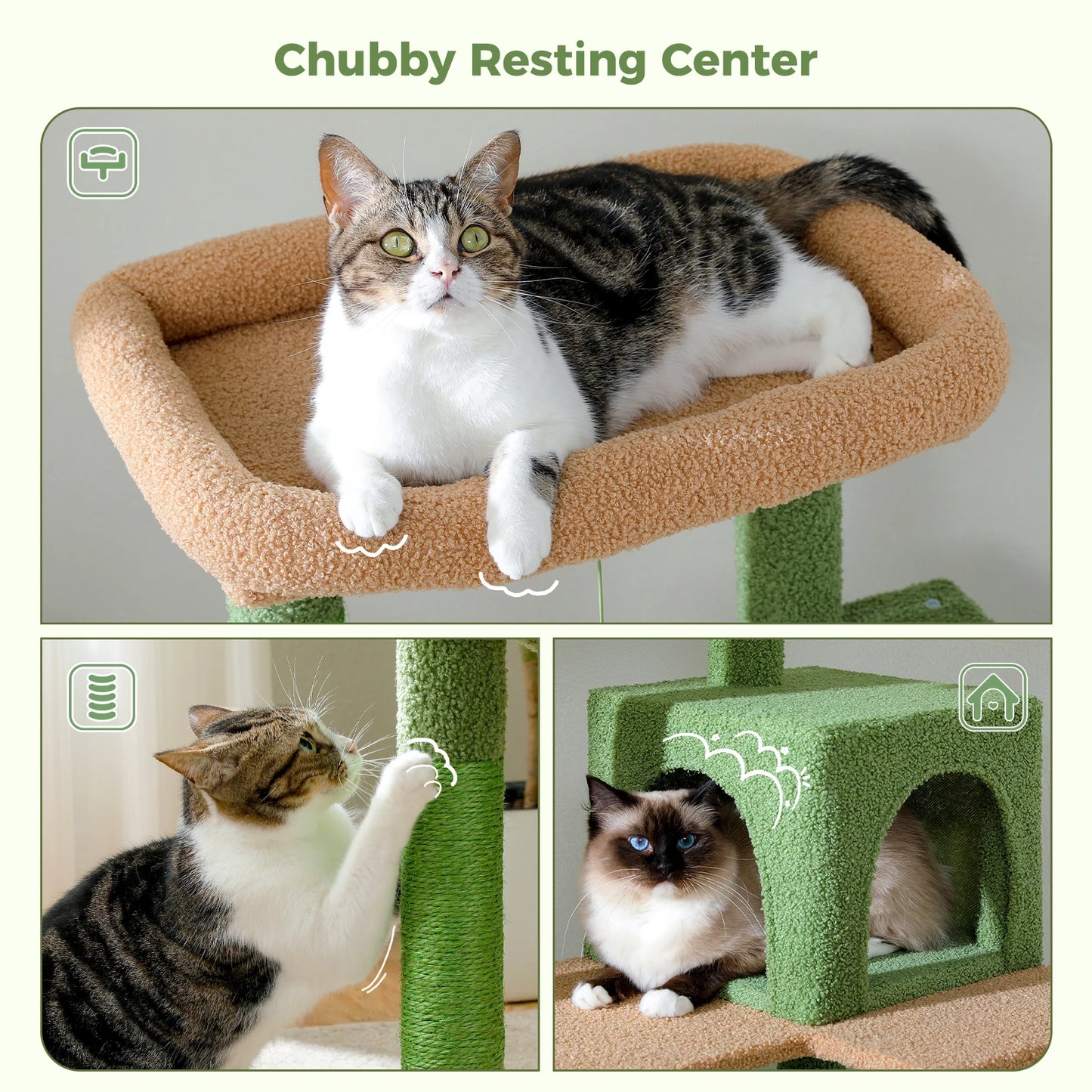 Cactus Cat Tree Tower For Large Cats 🐱🌵 5 Tier Indoor Condo With Top Perch