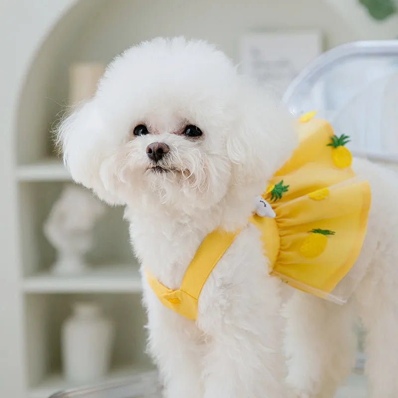 ✨ Adorable Summer Pup Dress 🌸 for Stylish Small Dogs! 🐾✨