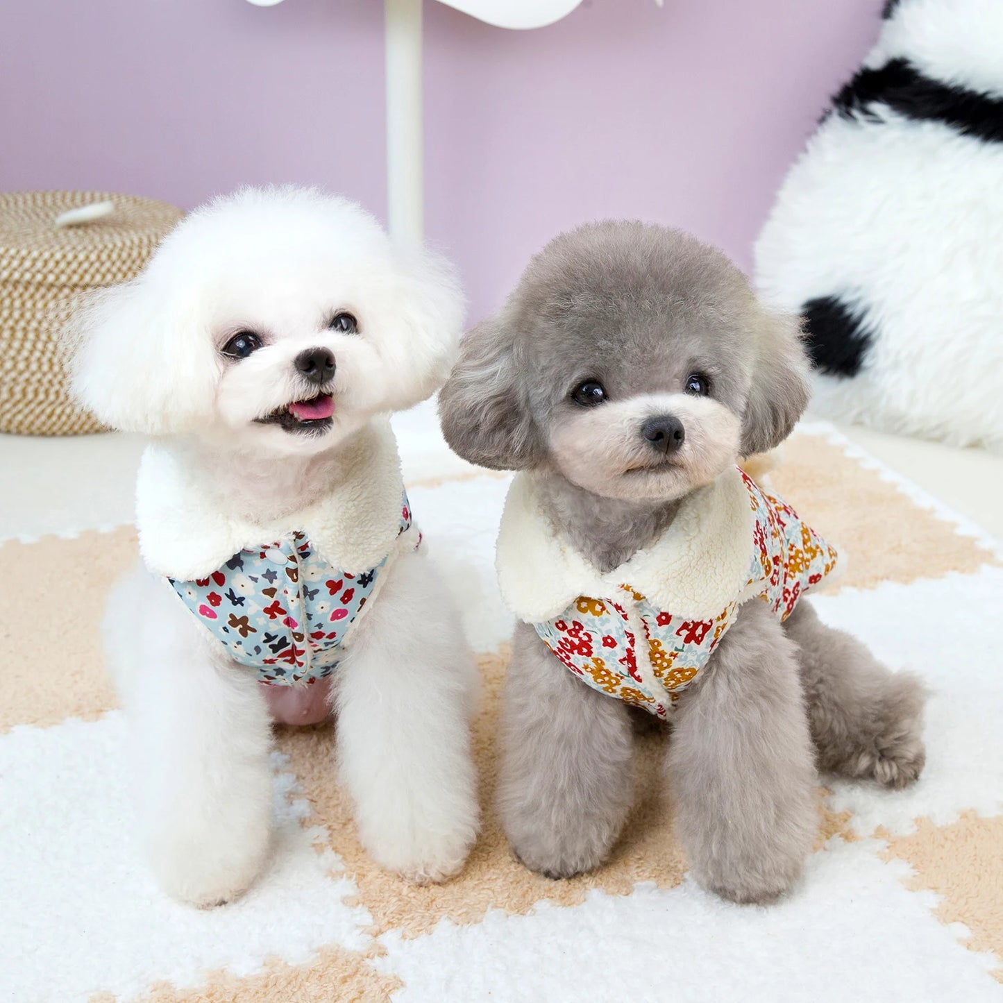 Cozy Pup Winter Coat ❄️🐾✨ for Snuggly Small & Medium Dogs - Adorable Jacket for Chihuahuas, Pugs & Teddies!