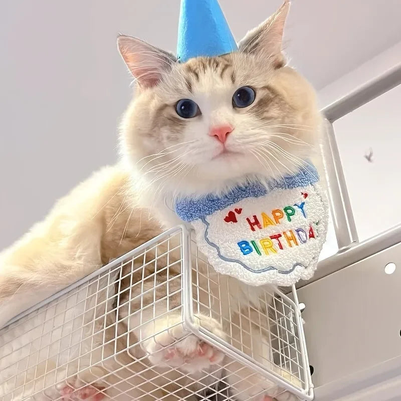 Kawaii Birthday Bash Set 🎉🐾 Cute Dog & Cat Hat & Bandana Accessories for Pawesome Celebrations! 🌟