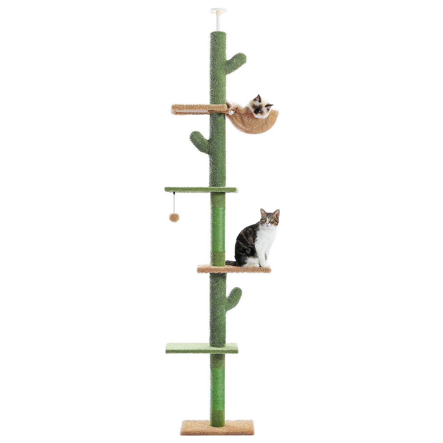Whimsical Cactus Cat Tower With 5 Tier Floor To Ceiling Climbing Perch And Scratching Post For Indoor Cats 🐾😺