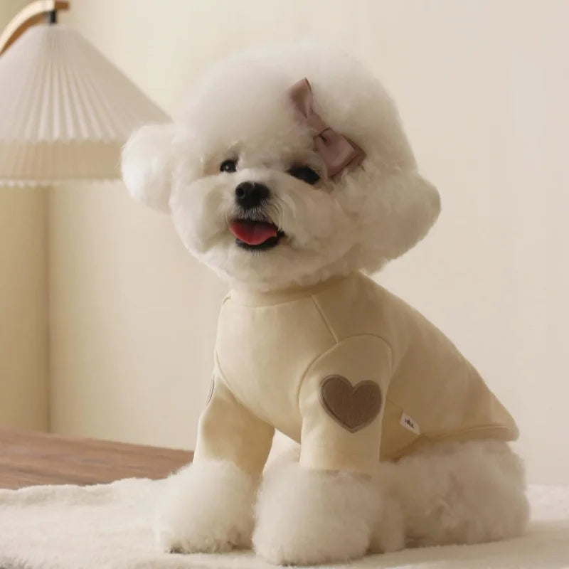 🐾 Cozy Cutie Doggie Pullover ✨ Sweet Solid Color Winter Wear for Pups! 🌈