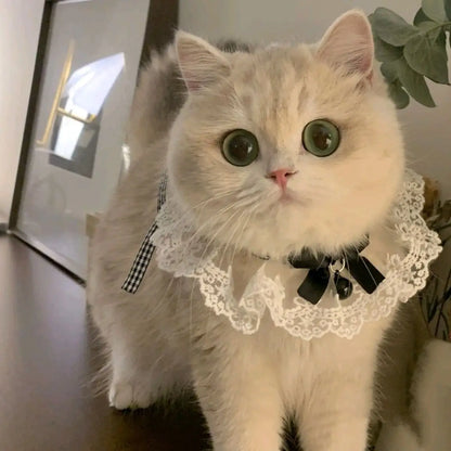 ✨ Elegant Pearl & Lace Pet Bib 🎀 Chic Ribbon Scarf for Pawsome Parties 🐾💖